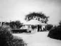 Toll House, between Musbury and Whitford, c.1905.
